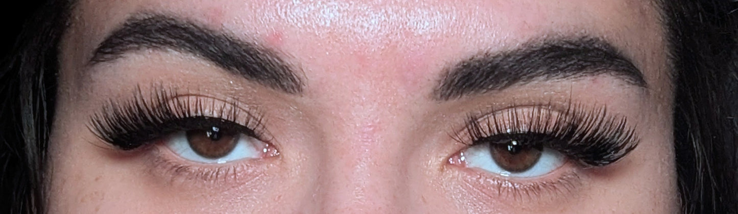 foxglove - faux half lash - luridly lethal lashes